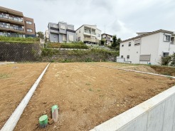 NO.6